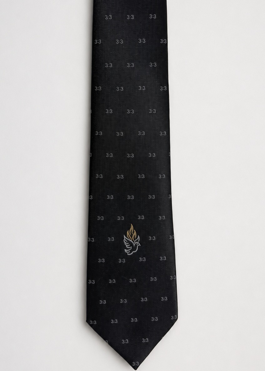 Proverbs 3:3 Holy Spirit Christian Tie