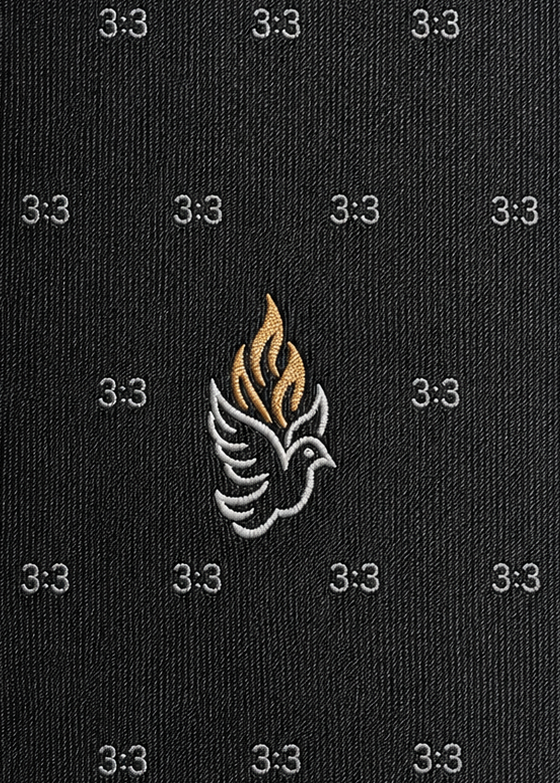 Proverbs 3:3 Holy Spirit Christian Tie